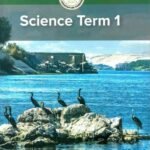كتاب مدرسى لمادة الساينس للصف الخامس الأبتدائى ترم اول - مكتبة طوسون