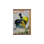 كشكول مسطر 28 ورقة علاء الدين