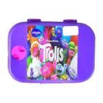 لانش بوكس ماكس صغير